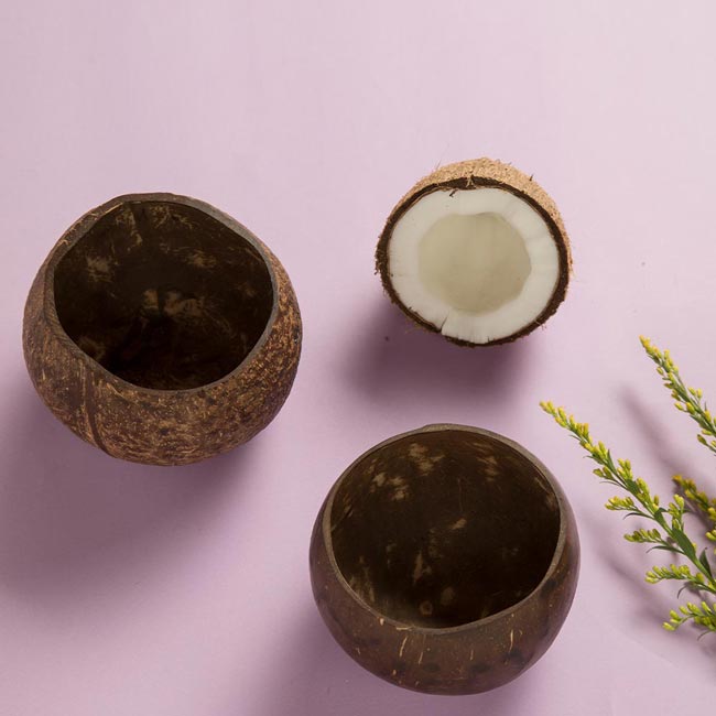 Coconut Shell Bowl