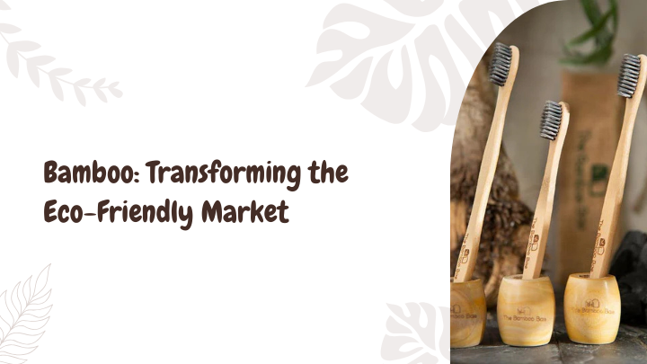 How Bamboo Products Are Revolutionizing the Eco-Friendly Market